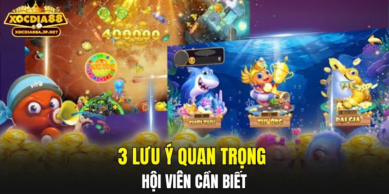 3 lưu ý quan trọng hội viên cần biết