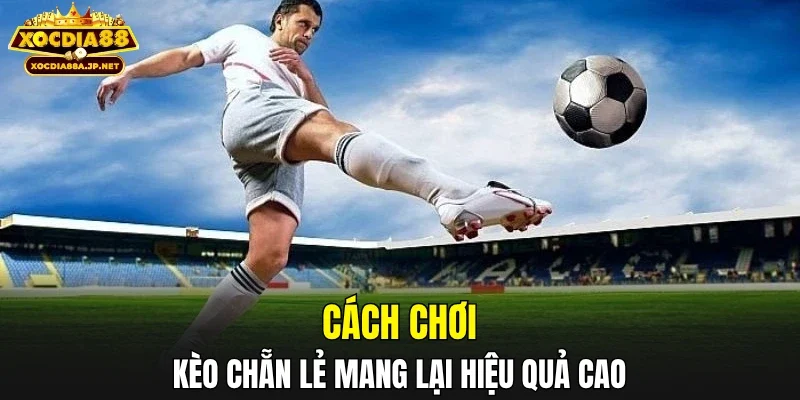 Cách chơi kèo chẵn lẻ mang lại hiệu quả cao
