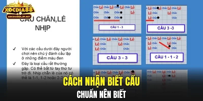 Cách nhận biết cầu chuẩn nên biết