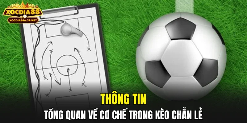 Cơ chế hoạt động nổi bật trong cược chẵn lẻ