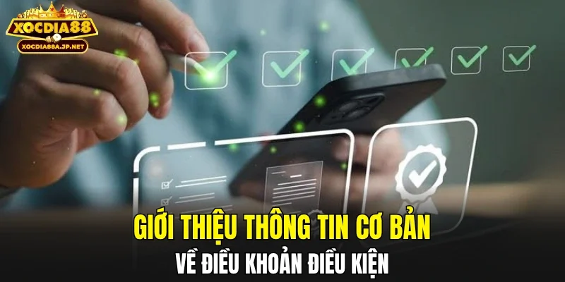 Giới thiệu thông tin cơ bản về điều khoản điều kiện