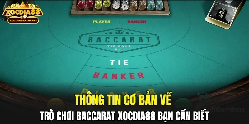 Thông tin cơ bản về trò chơi Baccarat XOCDIA88 bạn cần biết