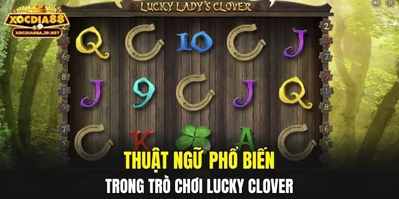 Thuật ngữ phổ biến trong trò chơi Lucky Clover