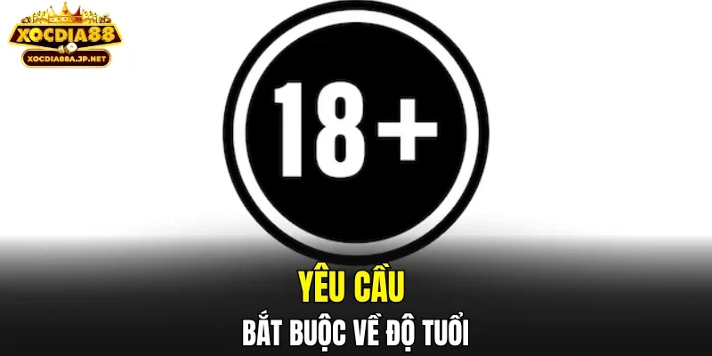 Yêu cầu bắt buộc về độ tuổi